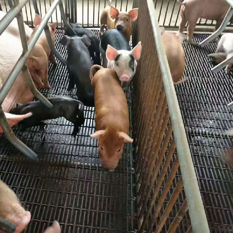 B(yng)i܈W(wng)-m.bzbjsd.cn