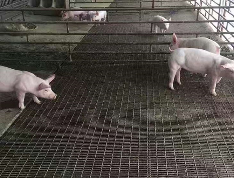 FziW(wng)-m.bzbjsd.cn