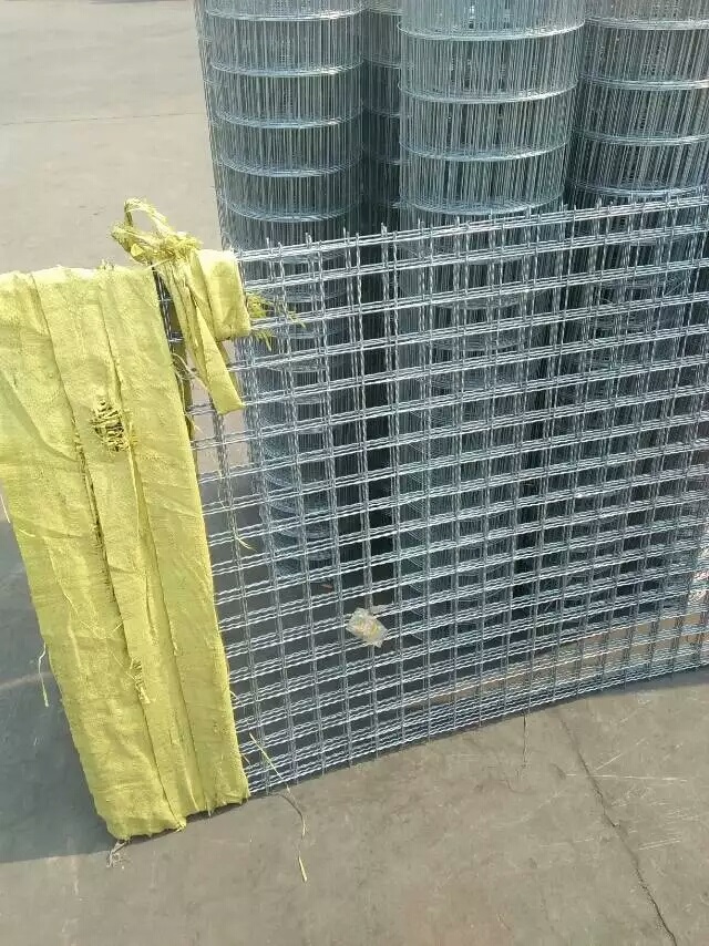 \܈W(wng)m.bzbjsd.cn